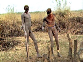 Real african tribes posing nude. Real wild...